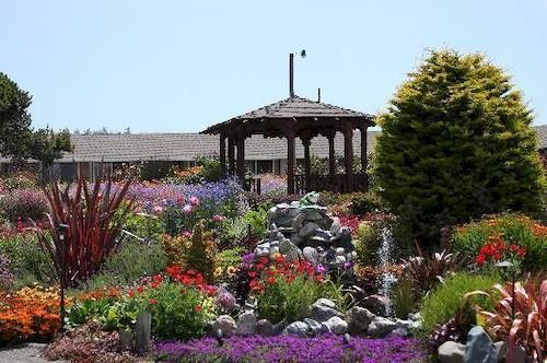Surf Motel And Gardens Fort Bragg Exteriér fotografie